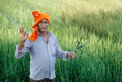 A smiling farmer standing in a green grain field